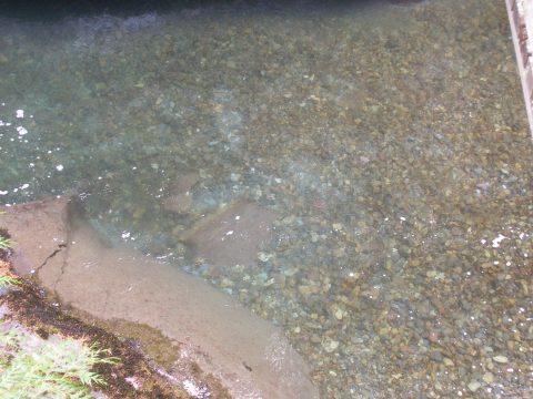 P9230101.jpg