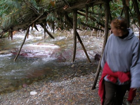 P9230125.jpg
