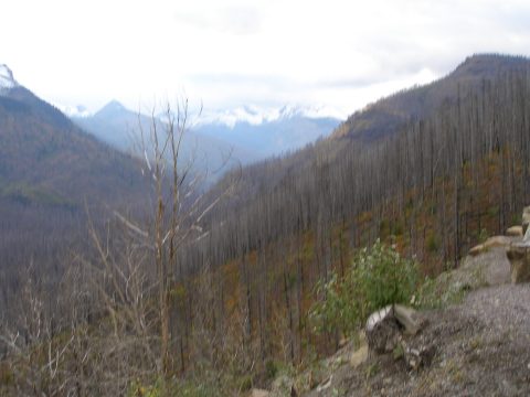 P9230135.jpg