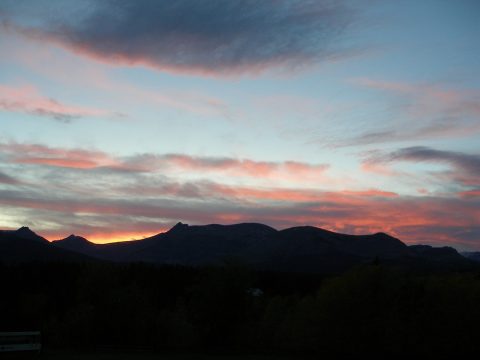 P9250185.jpg