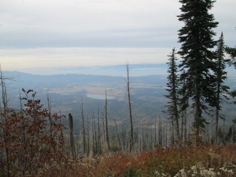 IMG_0230.jpg