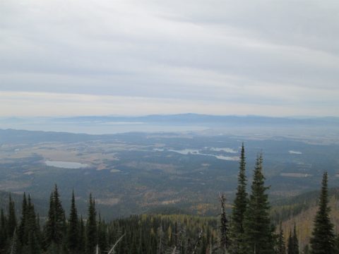 IMG_0239.jpg