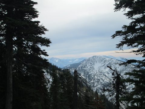 IMG_0245.jpg
