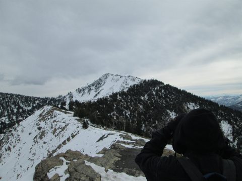 IMG_0247.jpg