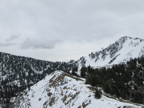 IMG_0249.jpg