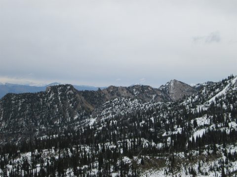 IMG_0250.jpg