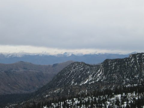 IMG_0251.jpg