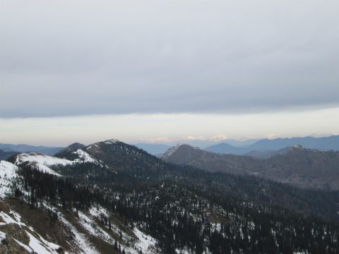 IMG_0253.jpg