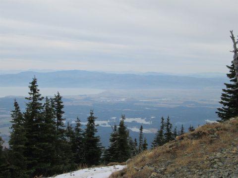 IMG_0255.jpg