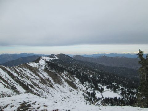 IMG_0260.jpg