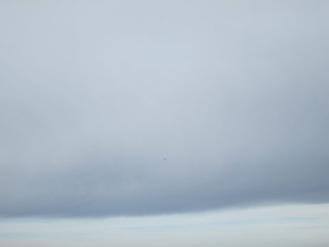 IMG_0262.jpg
