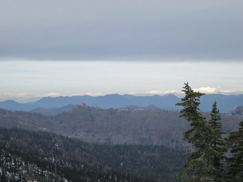 IMG_0263.jpg