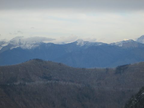 IMG_0264.jpg