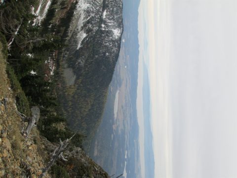 IMG_0270.jpg