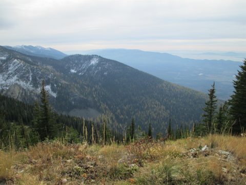 IMG_0275.jpg