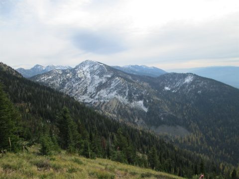 IMG_0284.jpg