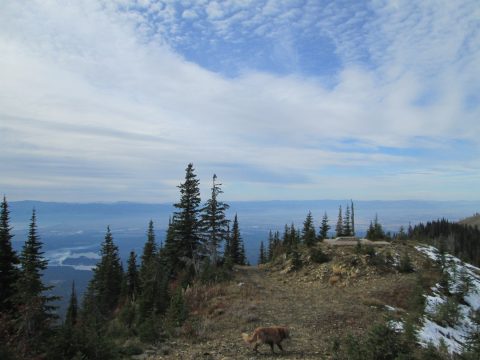 IMG_0286.jpg
