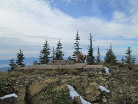IMG_0289.jpg