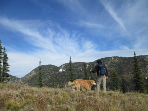 IMG_0307.jpg