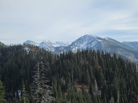 IMG_0310.jpg