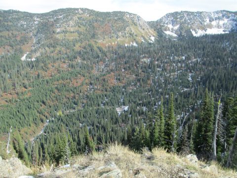 IMG_0316.jpg