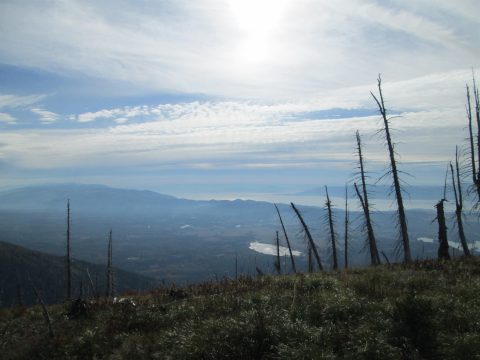 IMG_0317.jpg