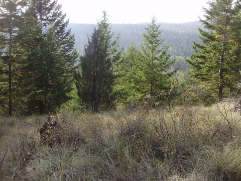 PA090001.jpg