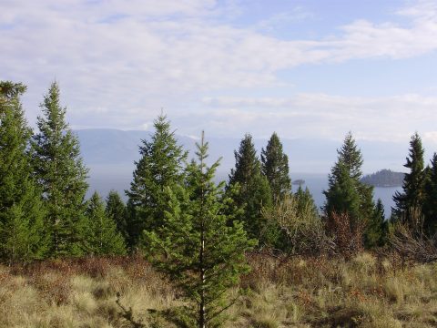 PA090002.jpg
