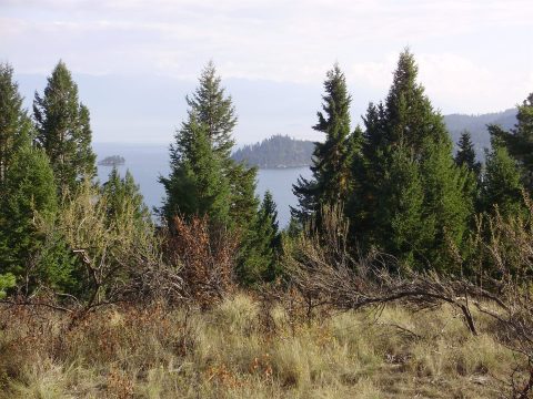 PA090003.jpg
