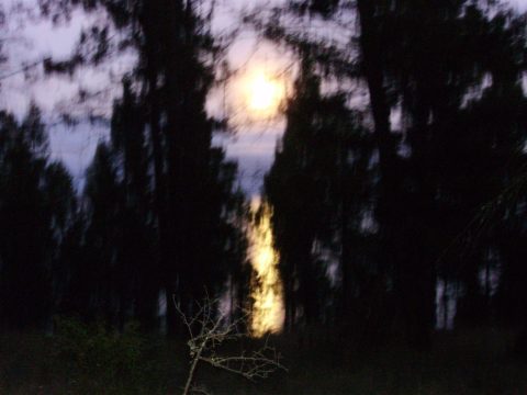 PA100030.jpg