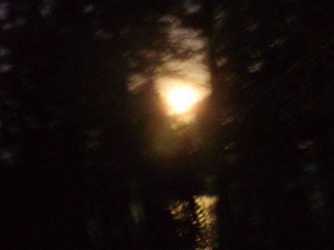 PA100034.jpg