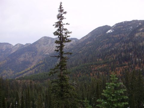 PA110035.jpg