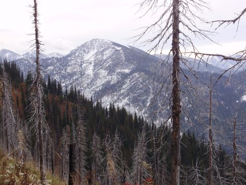 PA110037.jpg