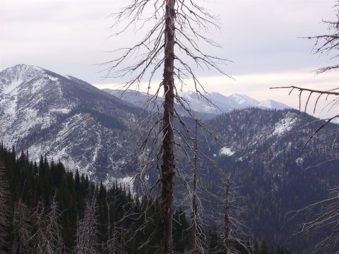 PA110038.jpg