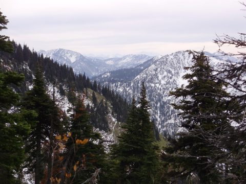 PA110041.jpg