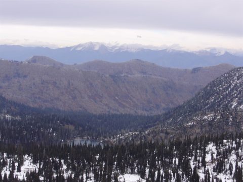 PA110042.jpg