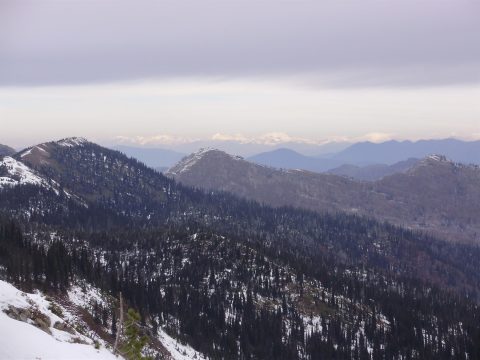PA110043.jpg