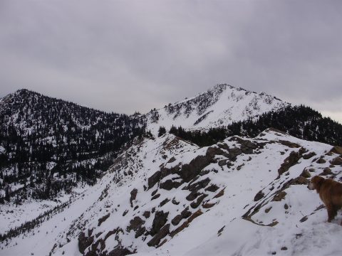 PA110045.jpg