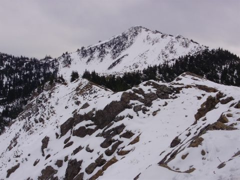 PA110046.jpg