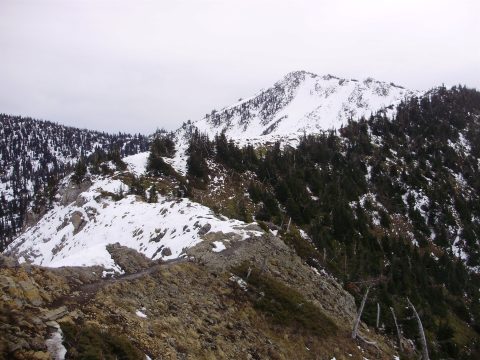 PA110062.jpg