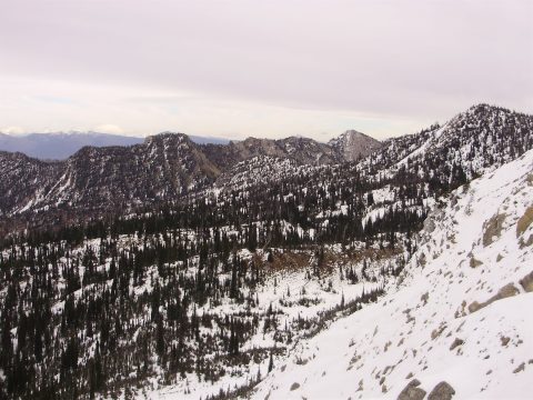 PA110071.jpg