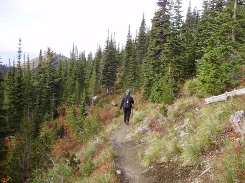 PA110078.jpg