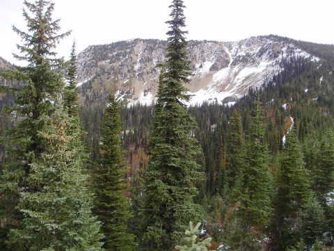 PA110083.jpg