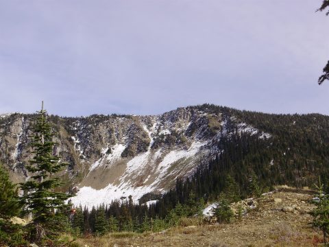 PA110085.jpg