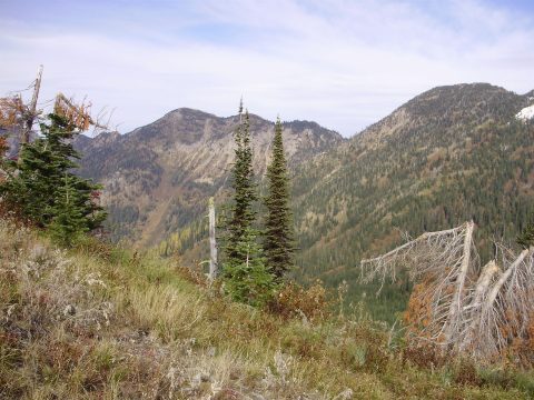 PA110087.jpg