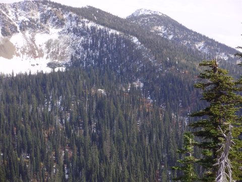 PA110090.jpg