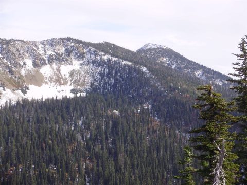 PA110092.jpg