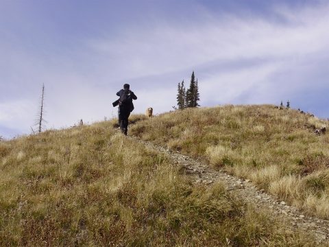 PA110094.jpg