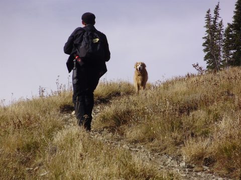 PA110095.jpg