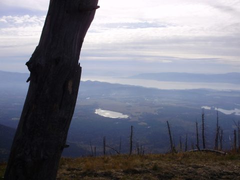 PA110102.jpg